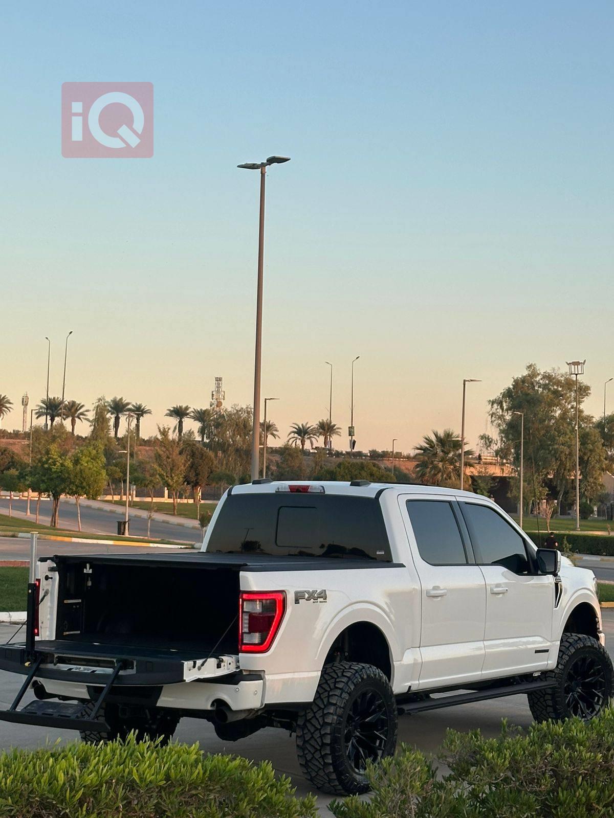 فۆرد F-150